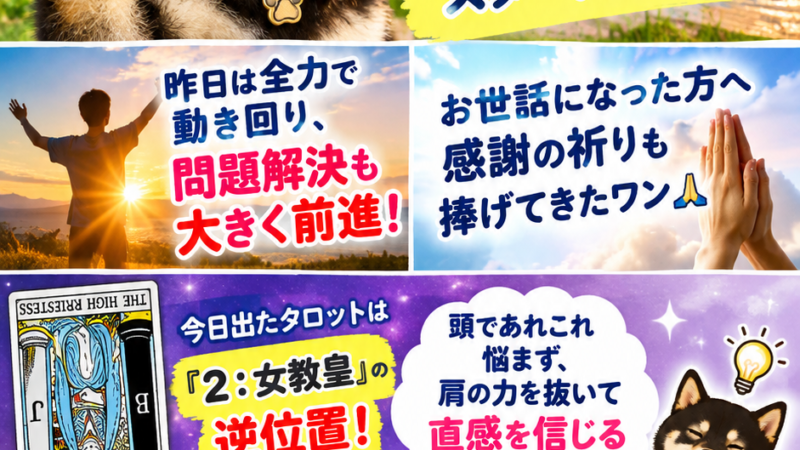10月13日火曜日、おはようございます!🐾 昨日は全力行動で問題解決へ前進! タロットは「2:女教皇(逆位置)」🔮 悩むのはおしまい!深呼吸してリラックス✨ 困ることなんて何一つ起きないワン! 今日も笑顔で元気にいってらっしゃーい! #黒柴コロ助 #柴犬 #女教皇逆位置 #波動アップ #総仕上げ #苫小牧