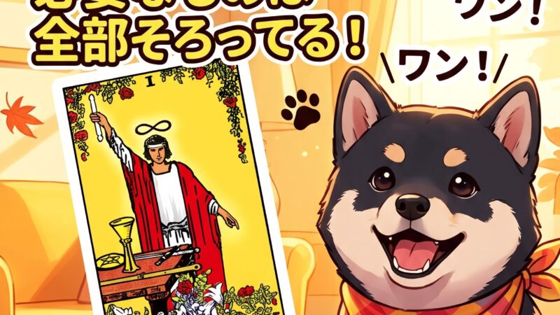 電気屋もっちゃんブログ10/11